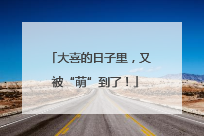 大喜的日子里，又被“萌”到了！