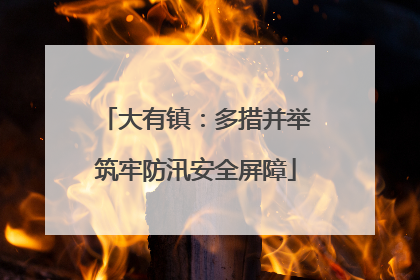大有镇：多措并举筑牢防汛安全屏障