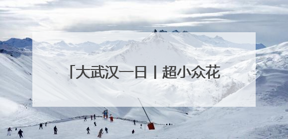 大武汉一日丨超小众花海，人少景美还免费