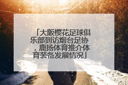 大阪樱花足球俱乐部到访烟台足协，鹿扬体育推介体育装备发展情况