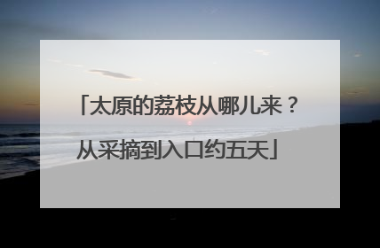 太原的荔枝从哪儿来？从采摘到入口约五天