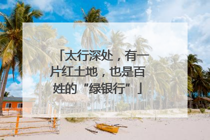 太行深处，有一片红土地，也是百姓的“绿银行”