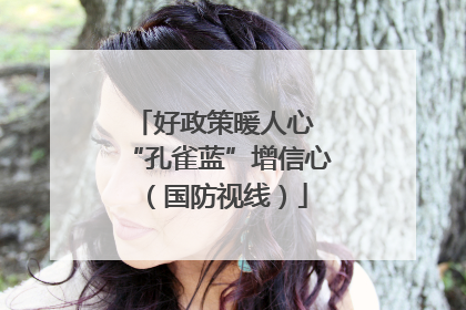 好政策暖人心 “孔雀蓝”增信心（国防视线）