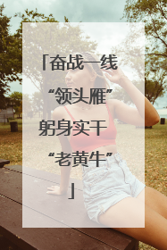 奋战一线“领头雁” 躬身实干“老黄牛”