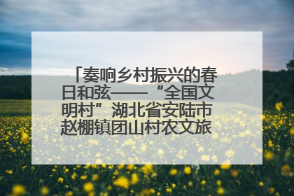 奏响乡村振兴的春日和弦——“全国文明村”湖北省安陆市赵棚镇团山村农文旅融合发展见闻