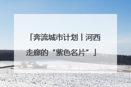 奔流城市计划丨河西走廊的“紫色名片”