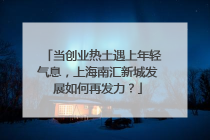 当创业热土遇上年轻气息，上海南汇新城发展如何再发力？