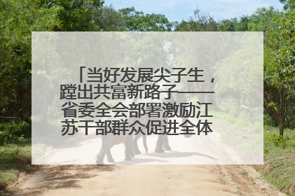 当好发展尖子生，蹚出共富新路子——省委全会部署激励江苏干部群众促进全体人民共同富裕