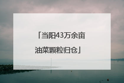 当阳43万余亩油菜颗粒归仓