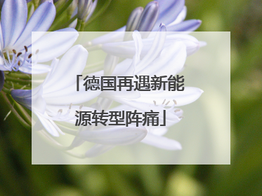德国再遇新能源转型阵痛
