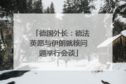 德国外长：德法英愿与伊朗就核问题举行会谈