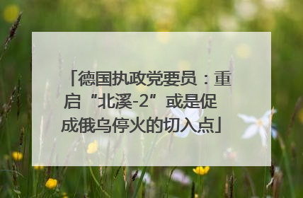 德国执政党要员：重启“北溪-2”或是促成俄乌停火的切入点