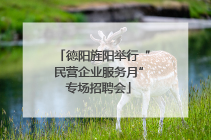 德阳旌阳举行“民营企业服务月”专场招聘会