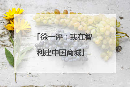 徐一评：我在智利建中国商城