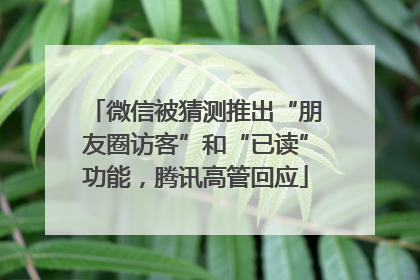 微信被猜测推出“朋友圈访客”和“已读”功能，腾讯高管回应