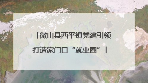 微山县西平镇党建引领打造家门口“就业圈”