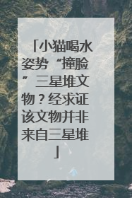 小猫喝水姿势“撞脸”三星堆文物？经求证该文物并非来自三星堆