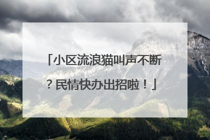 小区流浪猫叫声不断？民情快办出招啦！