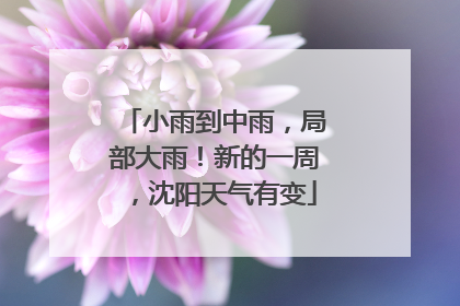 小雨到中雨，局部大雨！新的一周，沈阳天气有变