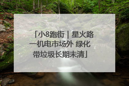 小8跑街｜星火路一机电市场外 绿化带垃圾长期未清