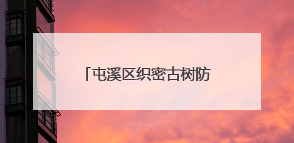 屯溪区织密古树防护网 让“绿色文物”焕发新活力