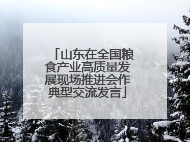 山东在全国粮食产业高质量发展现场推进会作典型交流发言