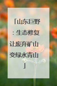 山东巨野：生态修复让废弃矿山变绿水青山