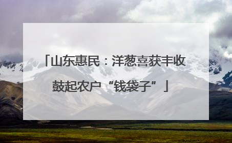 山东惠民：洋葱喜获丰收 鼓起农户“钱袋子”