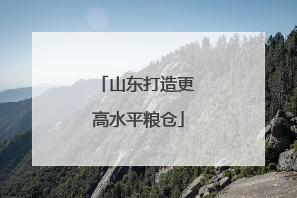 山东打造更高水平粮仓
