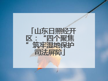 山东日照经开区：“四个聚焦”筑牢湿地保护司法屏障