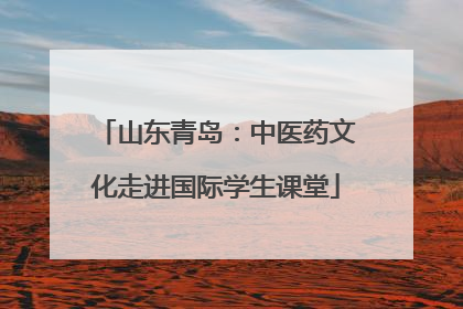 山东青岛：中医药文化走进国际学生课堂