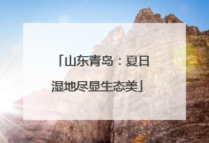 山东青岛：夏日湿地尽显生态美