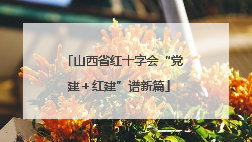 山西省红十字会“党建＋红建”谱新篇
