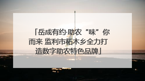 岳成有约·助农“味”你而来 监利市柘木乡全力打造数字助农特色品牌