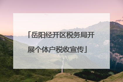 岳阳经开区税务局开展个体户税收宣传