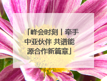 峰会时刻丨牵手中亚伙伴 共谱能源合作新篇章