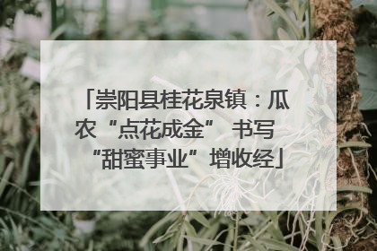 崇阳县桂花泉镇：瓜农“点花成金” 书写“甜蜜事业”增收经