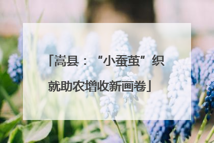 嵩县：“小蚕茧”织就助农增收新画卷