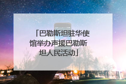 巴勒斯坦驻华使馆举办声援巴勒斯坦人民活动