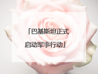 巴基斯坦正式启动军事行动