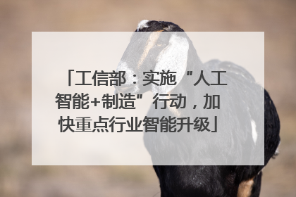 工信部：实施“人工智能+制造”行动，加快重点行业智能升级