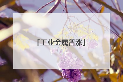 工业金属普涨