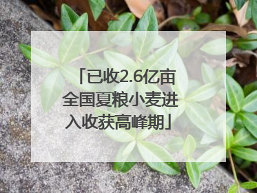 已收2.6亿亩 全国夏粮小麦进入收获高峰期