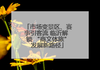 市场变景区、赛事引客流 临沂解锁 “商文体旅” 发展新路径