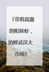 带着晨露的阳新虾，抢鲜武汉大市场