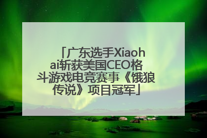 广东选手Xiaohai斩获美国CEO格斗游戏电竞赛事《饿狼传说》项目冠军