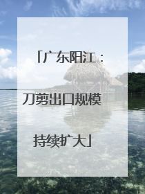 广东阳江：刀剪出口规模持续扩大