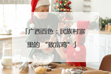 广西百色：民族村寨里的 “致富鸡”