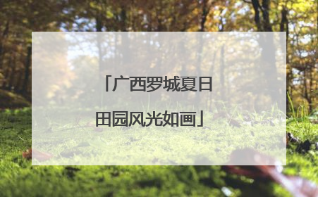 广西罗城夏日田园风光如画