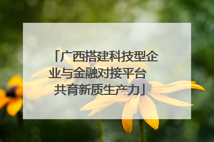 广西搭建科技型企业与金融对接平台 共育新质生产力